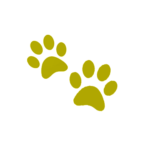 Animal Care Icon